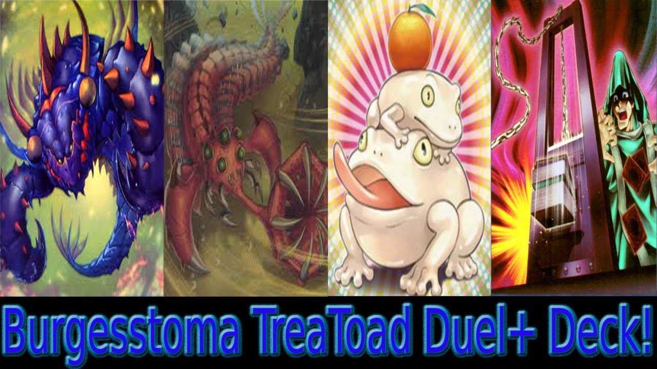 YGOPRO - Burgesstoma, Teratoad & Demise Duels + Deck!!