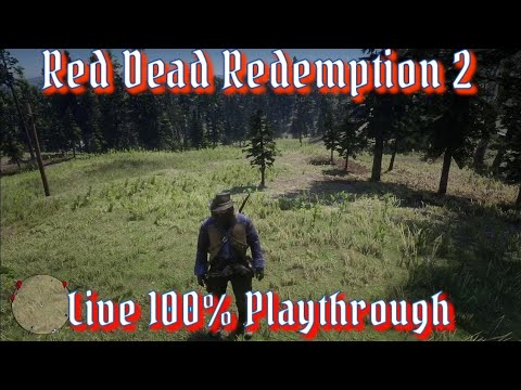 Red Dead Redemption 2 100% Live Playthrough - YouTube