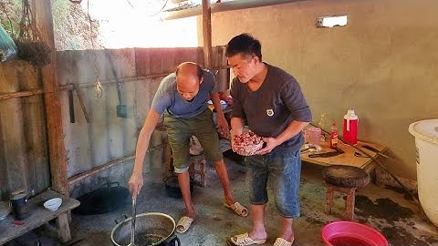 Páo hói và Sự đồi thông món thần canh đắng chuột 2kg. Nguyễn Tất Thắng