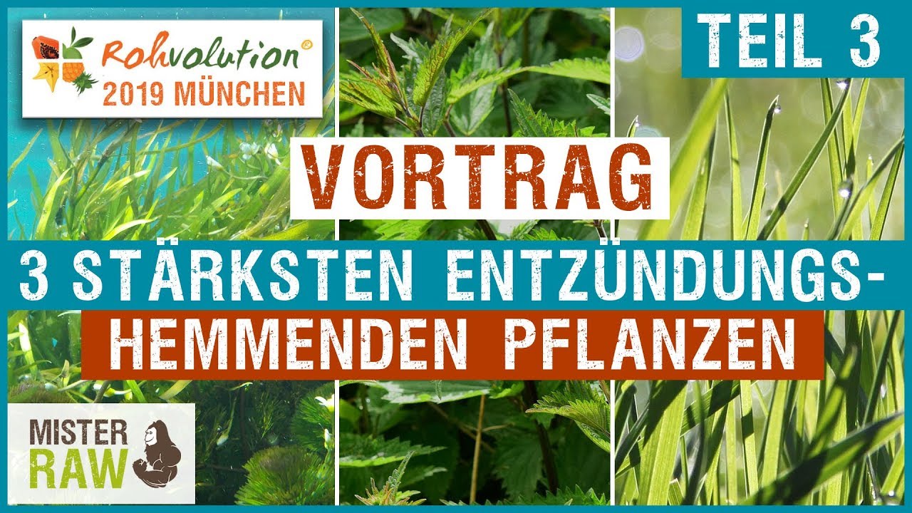 Teil 3: VORTRAG ROHVOLUTION München - Die 3 stärksten entzündungshemmenden Pflanzen und Maßnahmen