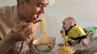 Little monkey Bon especially likes to eat his father's noodles