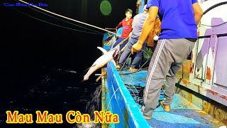 CÂU CÁ NGỪ ĐẠI DƯƠNG BIỂN HOÀNG SA 2║Hành Trình Câu Những Con Cá Ngừ Lên Ghe.