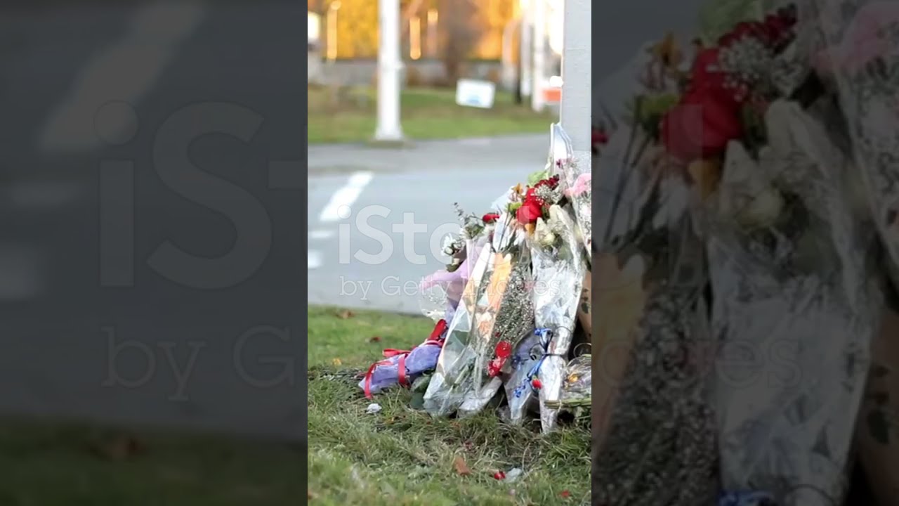 Hockey World Mourns Gaudreau Brothers Tragic Death Shorts Short Shortvideo