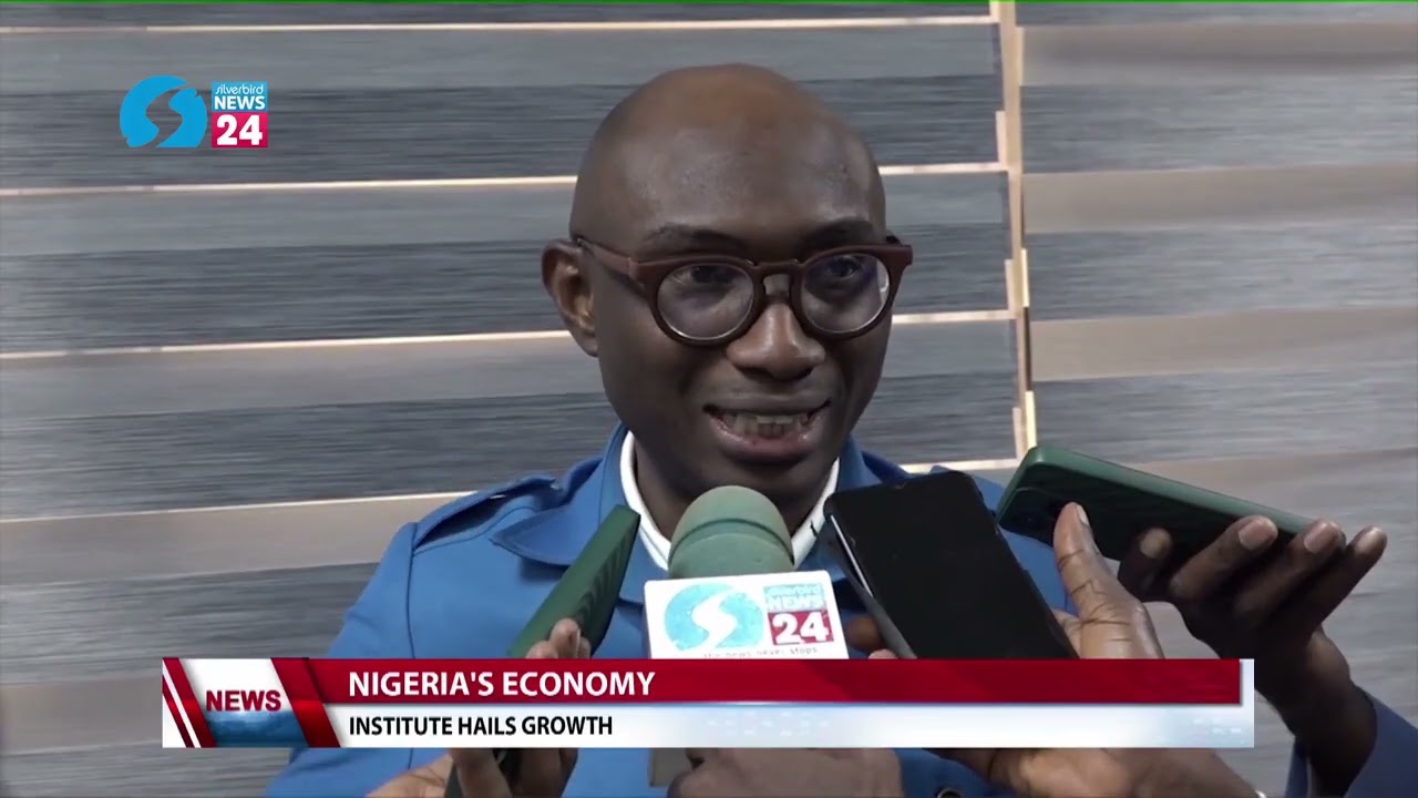 Still from Nigeria's Economy: Institute of Export Hails Growth