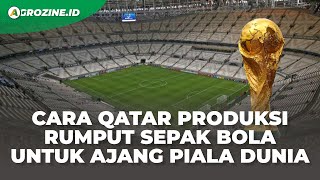 Rahasia Agar Tuan Rumah Piala Dunia Bisa Produksi Rumput untuk Lapangan Sepak Bola di Ajang Dunia