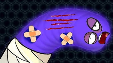 Wormate.io Never Mess With Tiny Angry Invasion Worms Wormateio Epic Trolling Gameplay