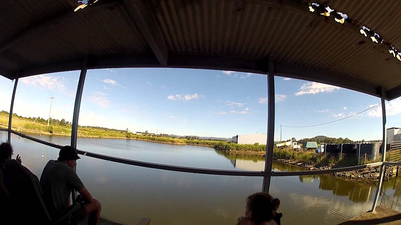 Donga Life - View From The Porch