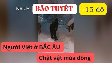 Bão tuyết, -12 độ. Người Việt chật vật với mùa đông ở Bắc Âu