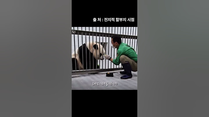 [전지적 할부지 시점] 아이바오 청소 검사