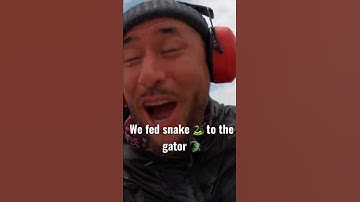 Thumbnail of Alligator Swamp Tour New Orleans