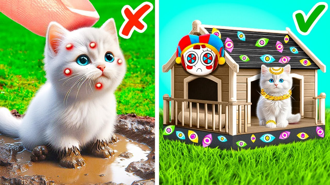 Construí uma Casa do Digital Circus para um Gato de Rua 🏡😻 Acessórios e Truques para Tutores de Pets
