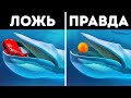 Мех, перья и веселье: Самые интересные факты и мифы о животных