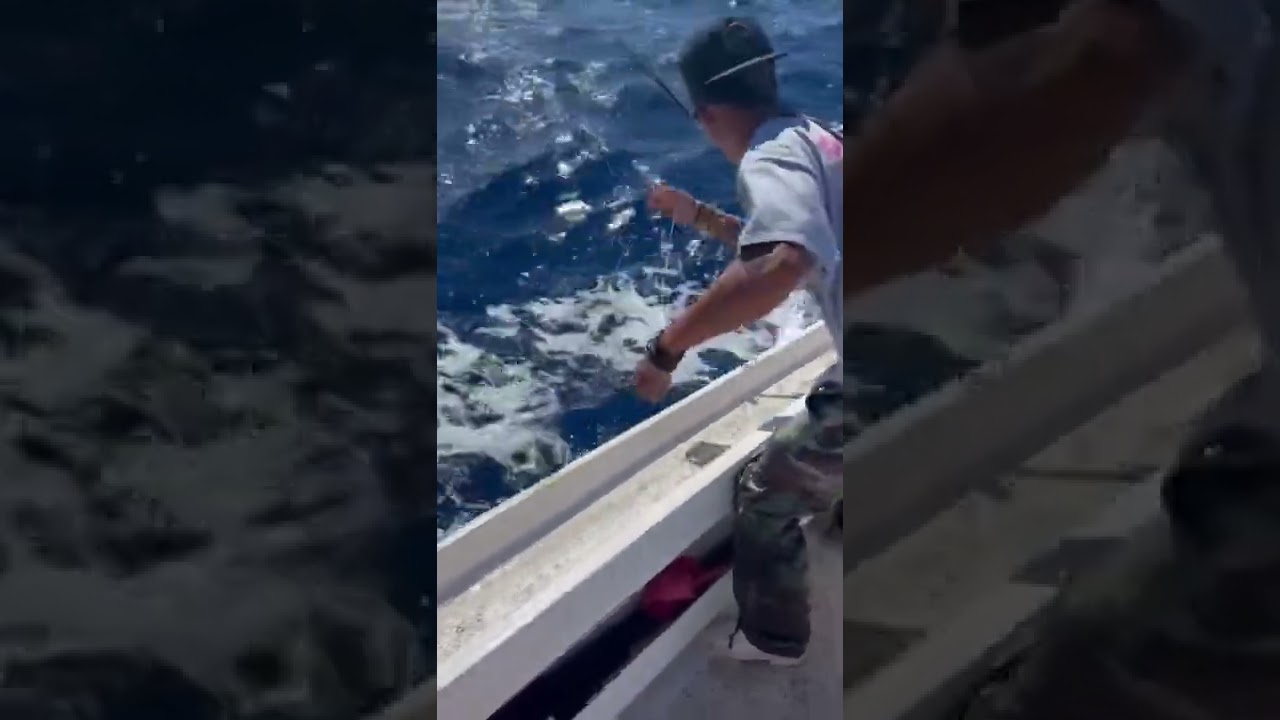 fishing for yellowfin tuna fish catching skills handline fishing video  amazing fishing 