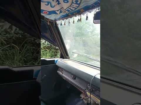 Kijang Ni Bos Bukan Rusa