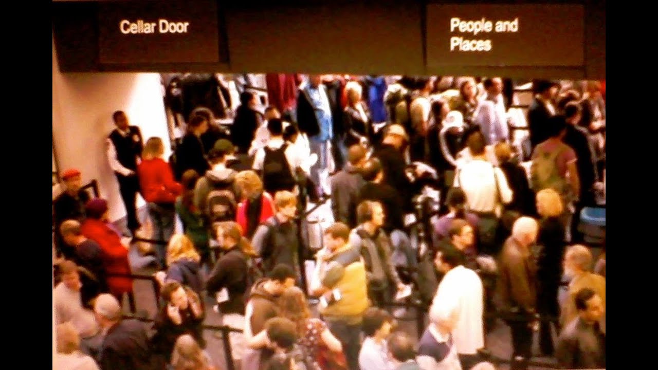 Northern Roots - Colorado