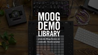 DFAM | Build a Synth Drum Rack using CV Tools