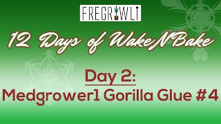2nd Day of WakeNBake - Medgrower1 Gorilla Glue #4