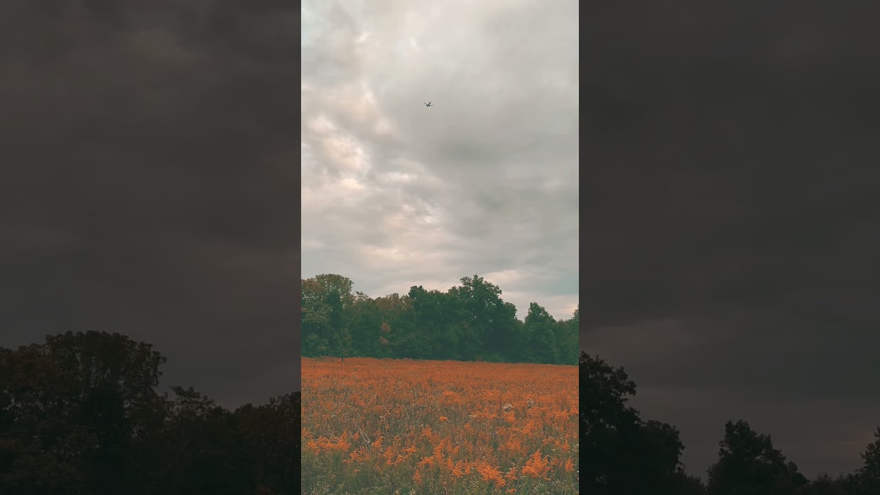 Quran recitation #Quran