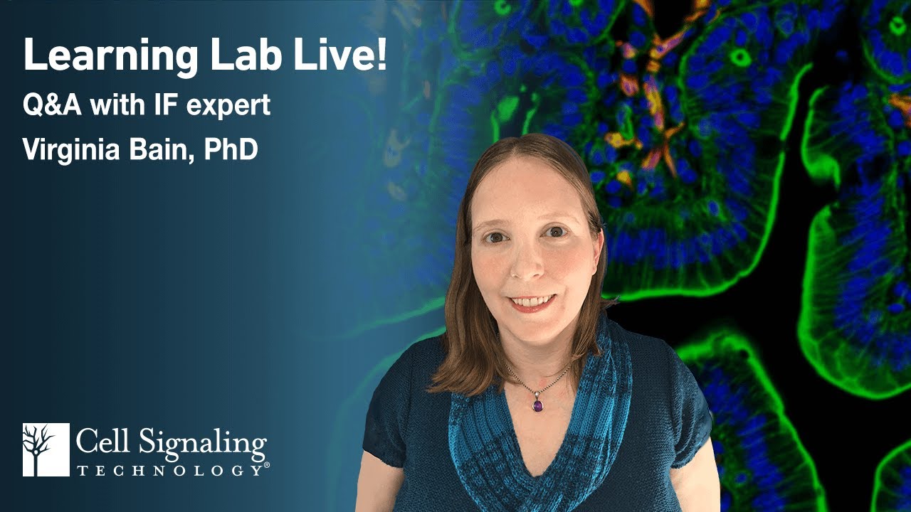 Learning Lab LIVE! Q&A with IF Expert Virginia Bain, PhD