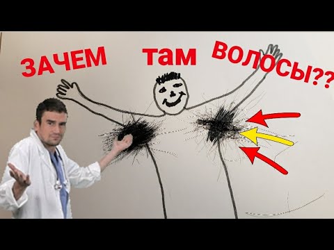 Почему растут волосы подмышками???Зачем там нужны волосы🤔Лекция от Доктора Уткина