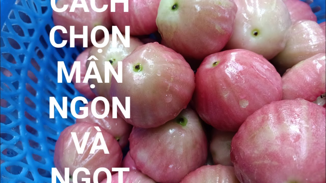 CÁCH CHỌN TRÁI MẬN NGON VÀ NGỌT KHI MUA NGOÀI CHỢ /MẸO CHỌN TRÁI MẬN# THÚY LONG AN VLOG