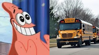 School Field trips were absolutely PEAK
