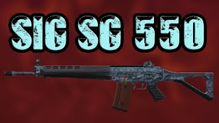 SIG SG 550(НГ) STALCRAFT