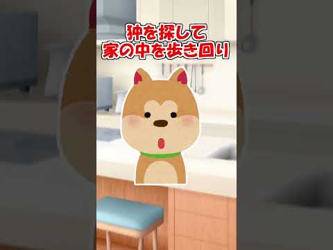 【2ch】犬用ベッドで寝てたうちの秋田犬が…【アニマル】 #Shorts