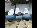 viral kelakuan cewek sma jaman sekarang ini hits atau miris