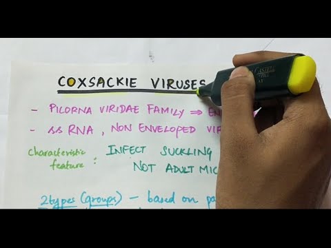 Video: Coxsackie-virus - Symptom, Behandling, Förebyggande, Tecken Hos Vuxna