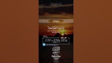 "تلاوة عذبة وخاشعة بصوت الشيخ ياسر الدوسري| قرآن كريم يلامس القلوب ويبعث الطمأنينة ✨#ياسر_الدوسري