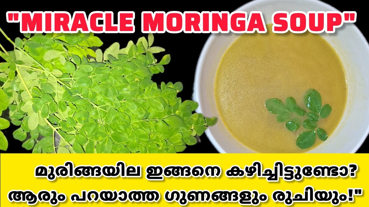 ​മുരിങ്ങയില ഇങ്ങനെ കഴിക്കൂ മാറ്റം അത്ഭുതപ്പെടുത്തും! | Moringa Magic Soup Recipe for Immunity Boost