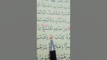 سورة فاطر الأية 28 إلى 30 القارئ سعد الغامدي