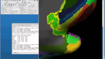 Freesurfer :Cutting & Flattening 1
