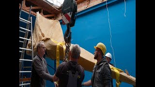 Der Wal Zieht Um Attraktion Des Zoologischen Museums Göttingen