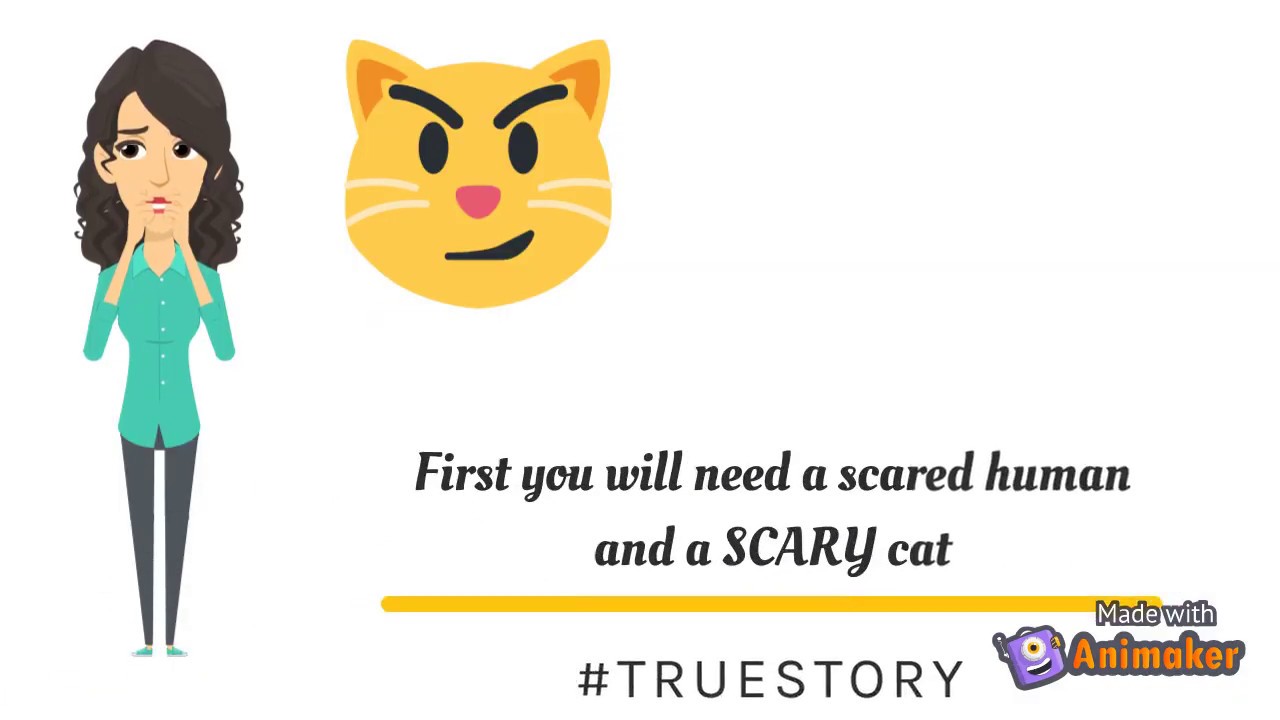 How to get rid of Cat O Phobia (Fear of Cats) YouTube