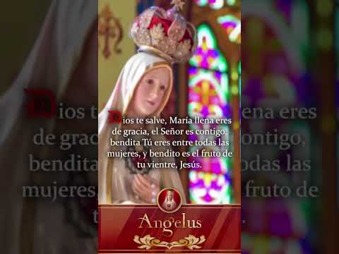 Video 30