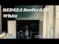 2019/06/12水槽設置Reefer250white#01