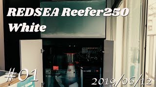 2019/06/12水槽設置Reefer250white#01