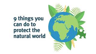 9 things you can do to protect the natural world Wealth