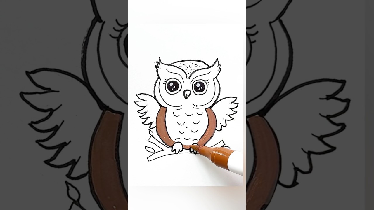 Cute Owl drawing 