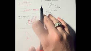 Famous Module 12 Study Guide Net Worth