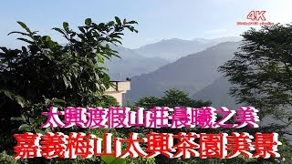 (4K) 嘉義梅山太興茶園美景,太興渡假山莊晨曦之美,4K Ultra HD