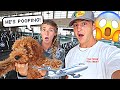 Traveling With Our Puppy... *GONE WRONG*