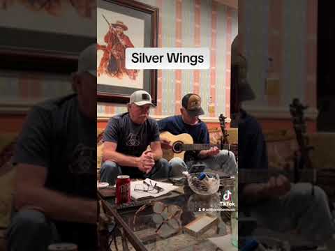 Silver Wings Cover