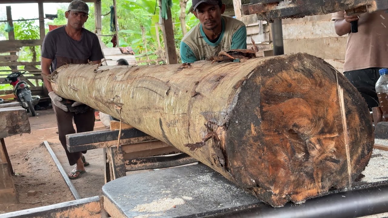 Working Efficiency with Sawmill Machine for Wood 2x20 - YouTube