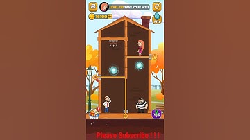 home pin level 293 walkthrough or answer