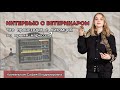 Наркоз у животных | что должен знать каждый владелец