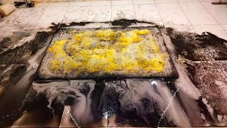 Deepest cleaning with New Method lll satisfying carpet cleaning ASMR