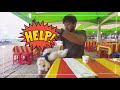 Expensive korean food from not so expensive place| with my dog| #강원도 #koreatravel #korean #korea